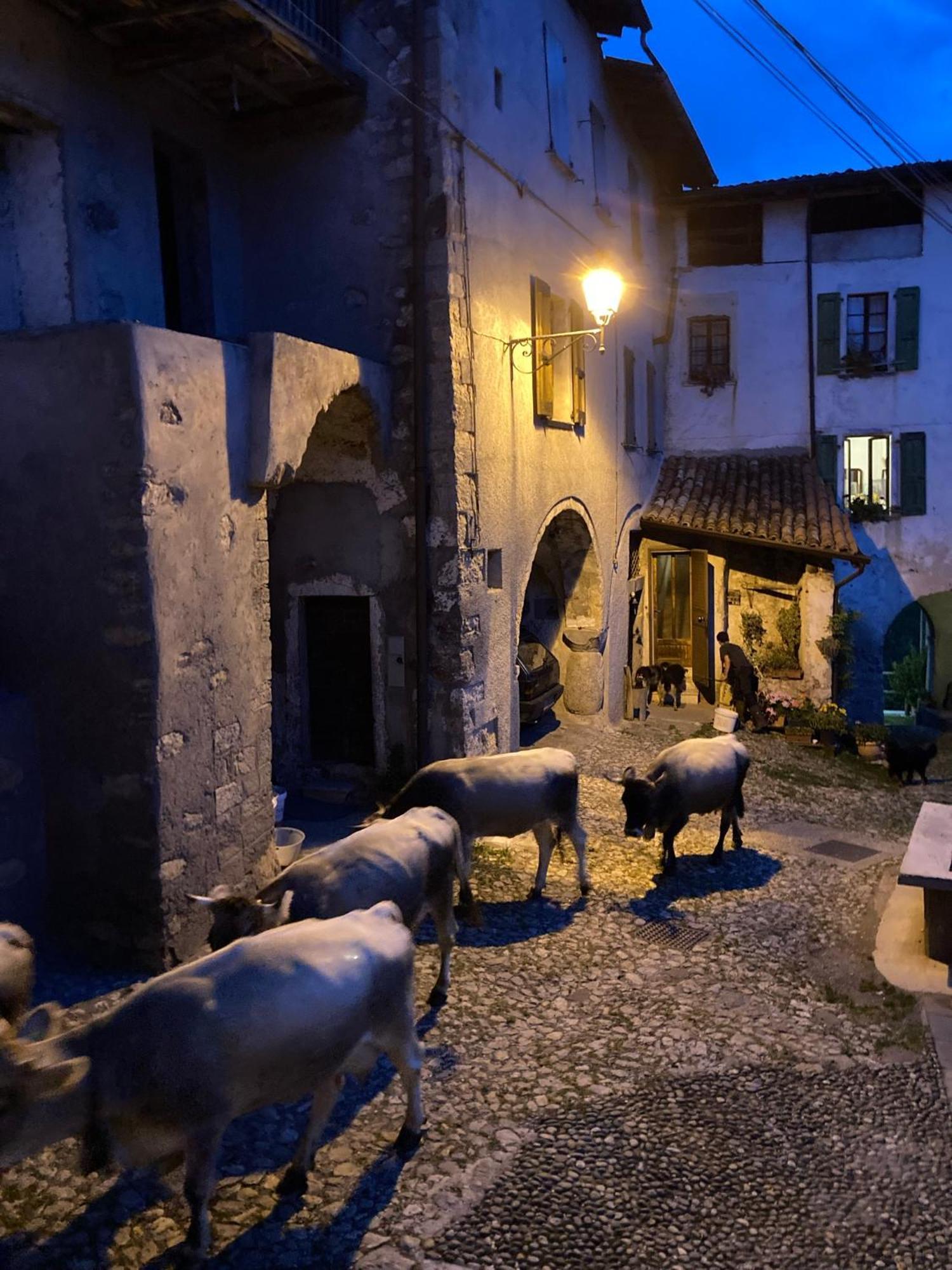 A Casa Di Gianni E Mari Bed & Breakfast Vestone Exterior photo
